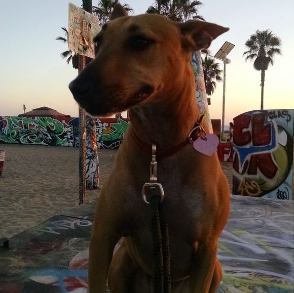 All my items are inspected well and sanitized - Picture 5 of 8